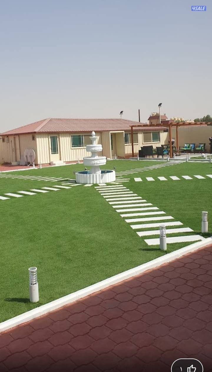 تكريم نخل بلدي تكريم نخل واشطونيا قص أشجار دقه في العمل سرعه في الإنجا6