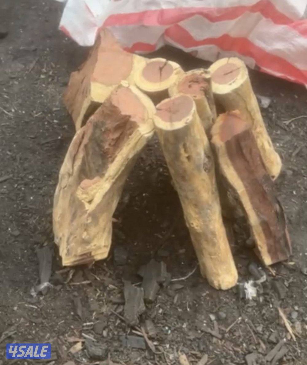 فحم افريقي البقره حبه كبيره - سمر افريقي  - كراتين سوداسي3