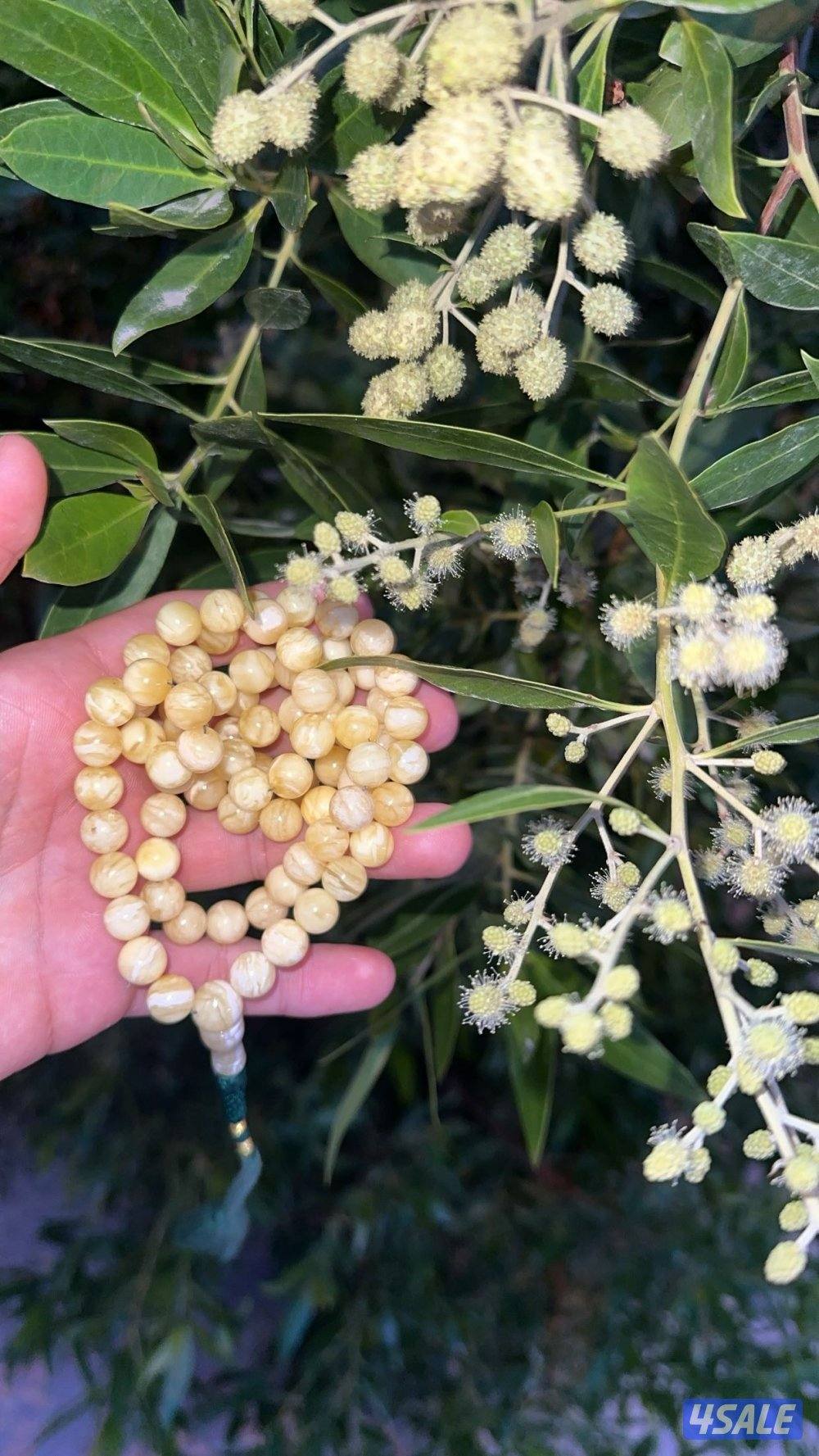 مسباح كهرب ماشاء الله تشخيط ببياض بجبس تبرك الرحمن 🐆🐆🐆🔥0