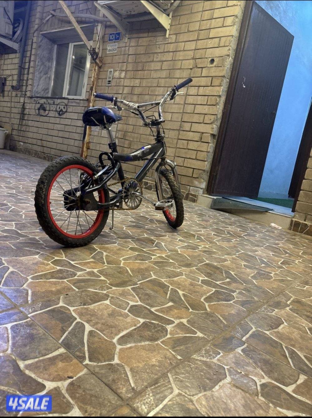 قاري كوبرا للبيع0