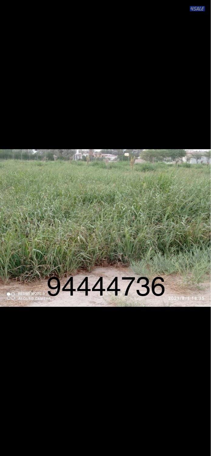 للبيع بلوبنك بالعبدلي0