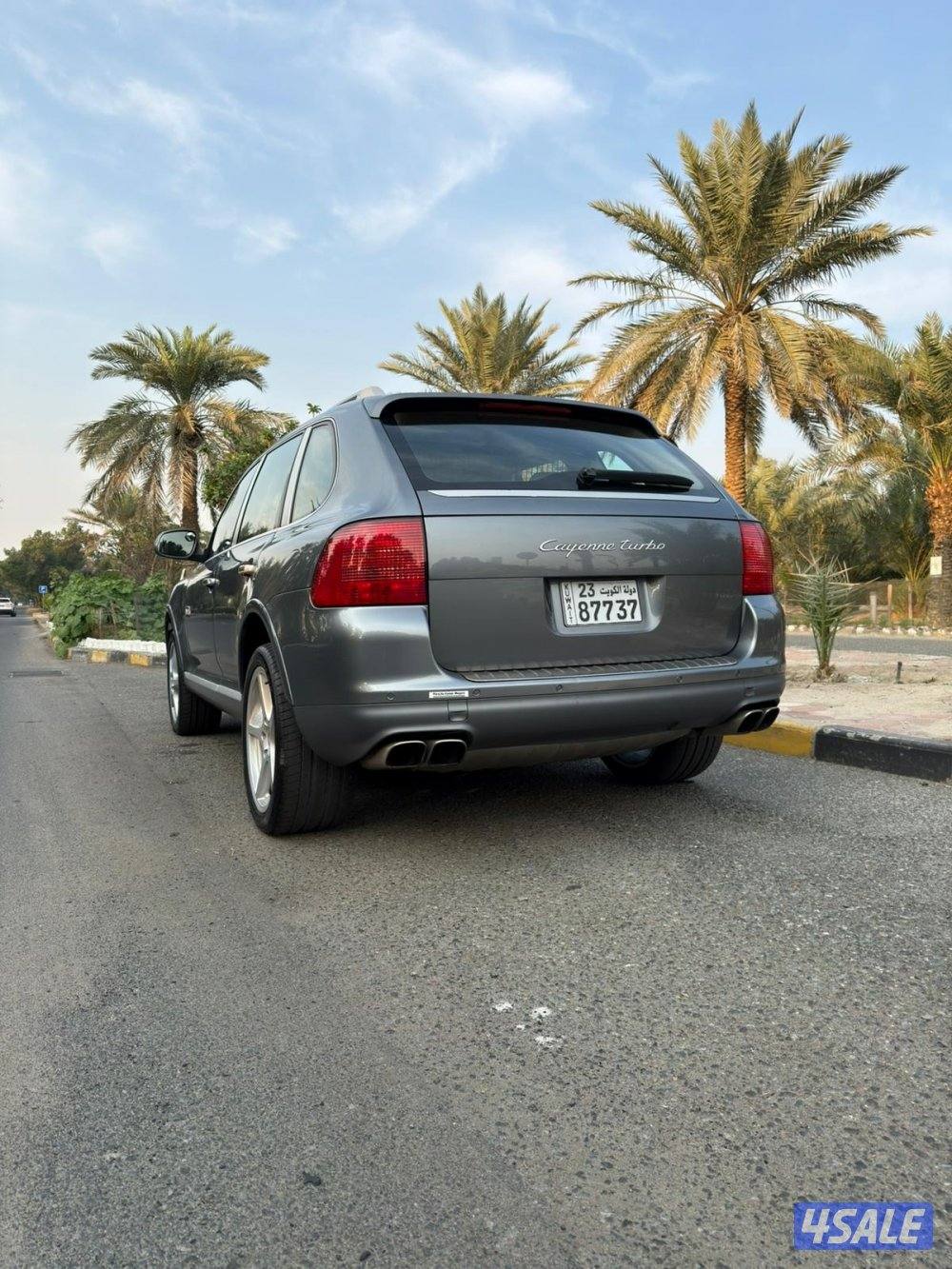 Cayenne turbo9
