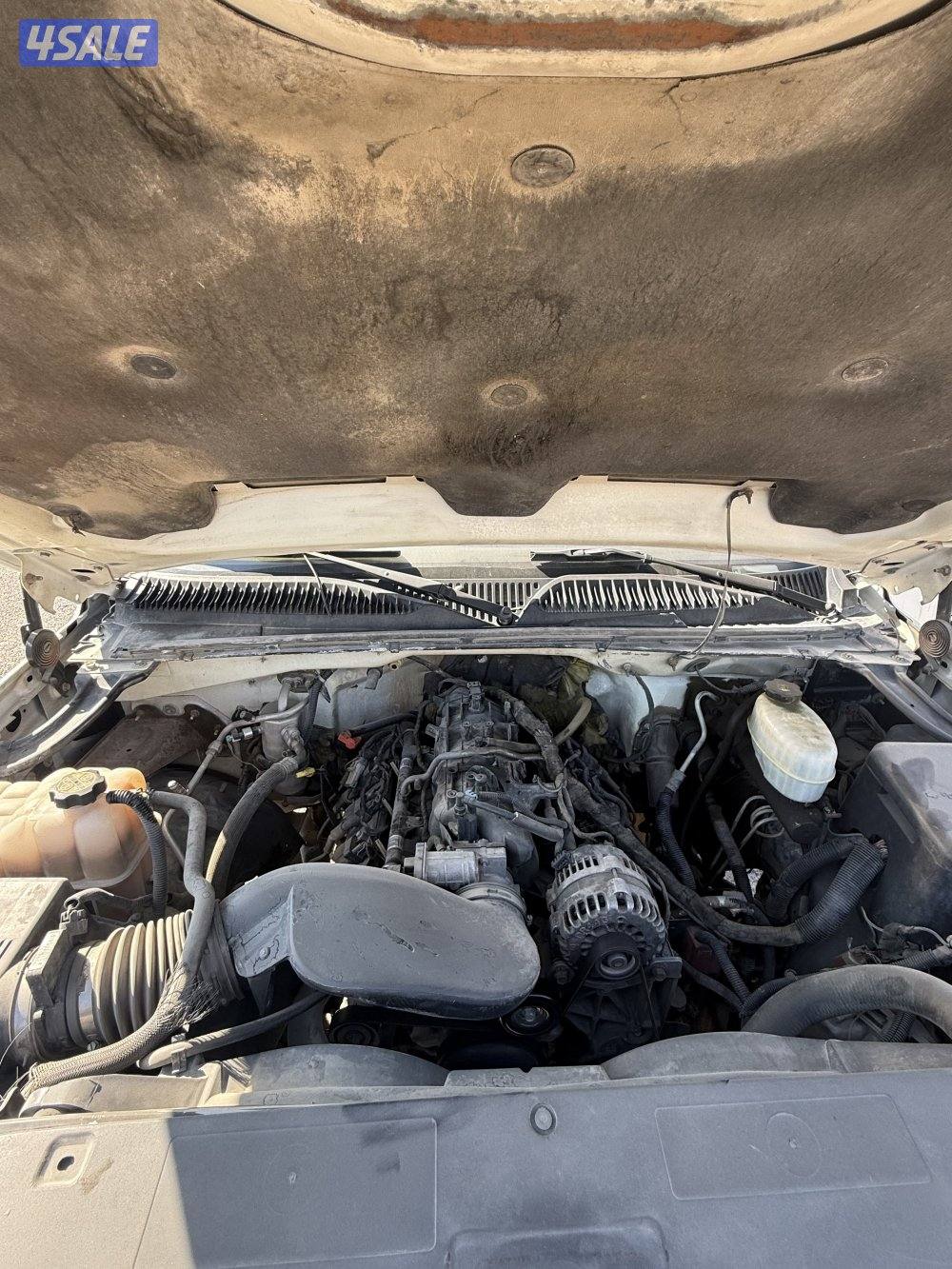 بيعة سريعة5