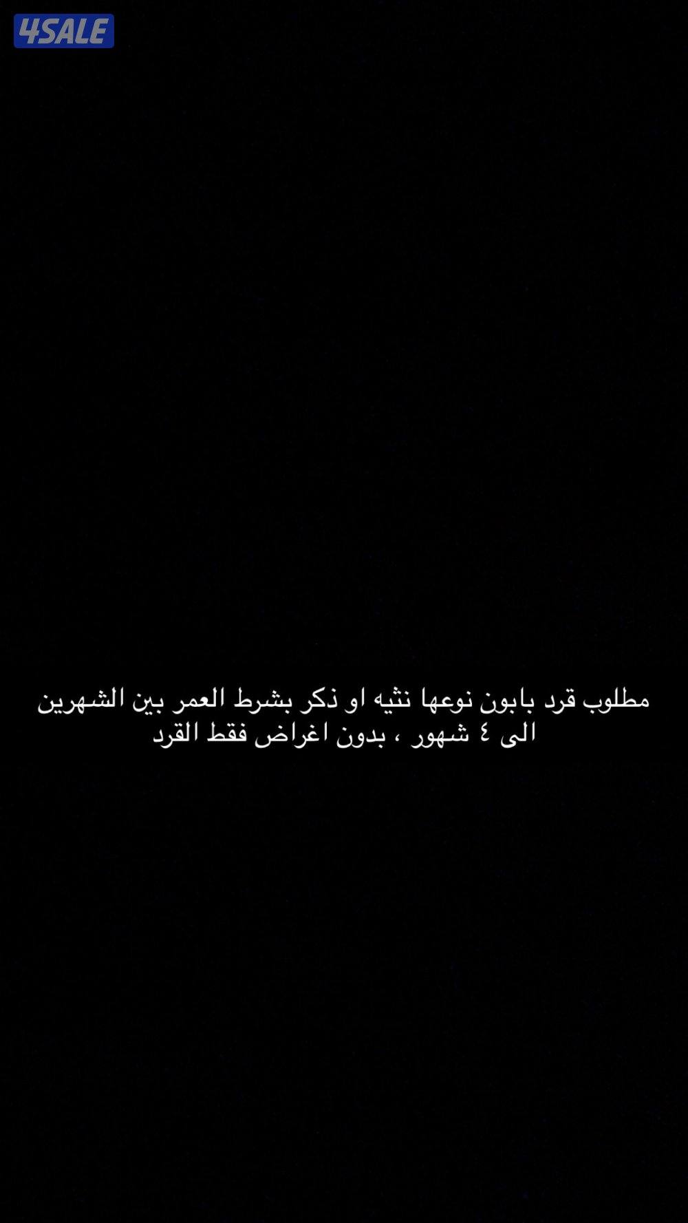 مطلوب شاذيه0