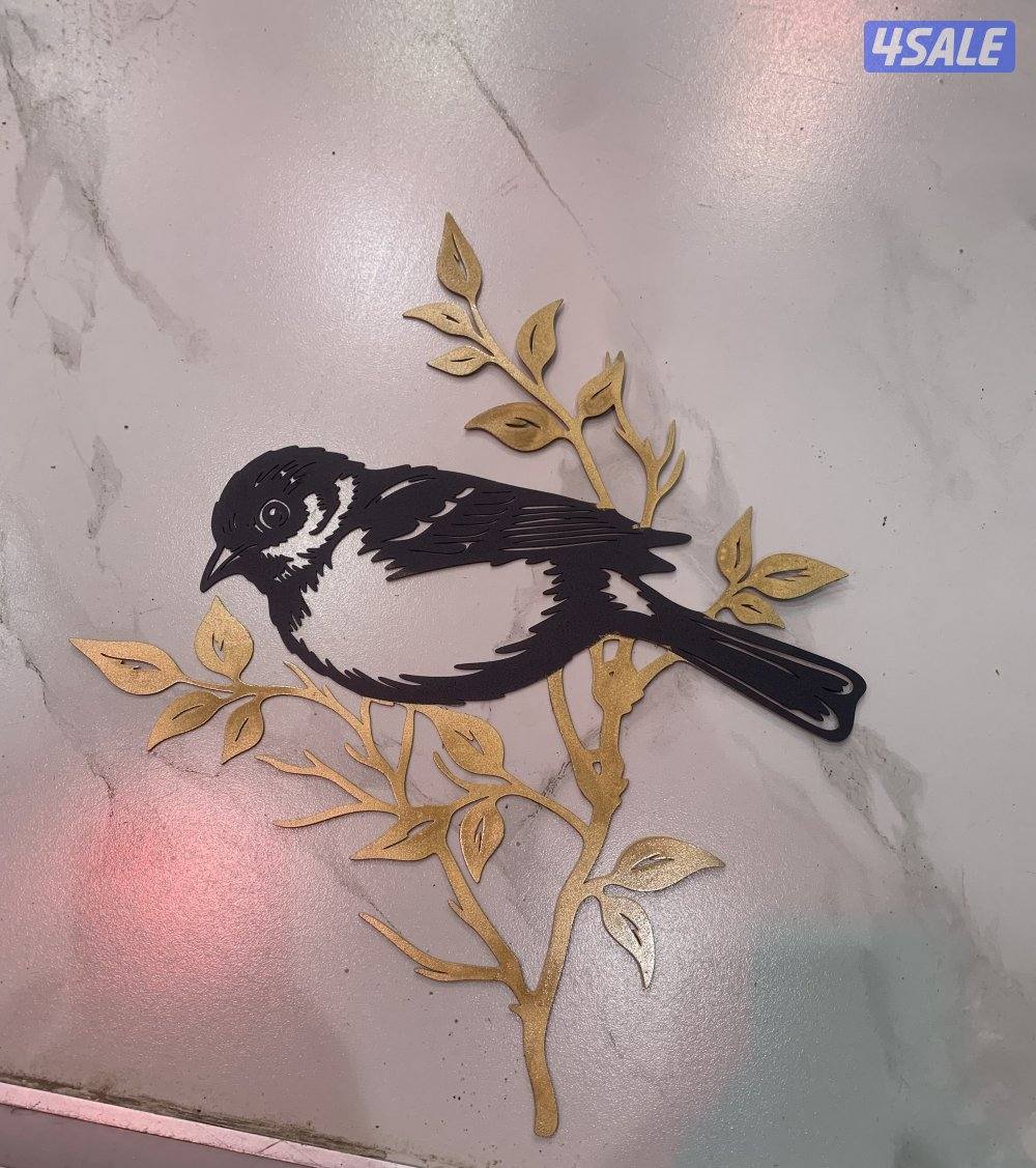 برواز طير منظر حلو0