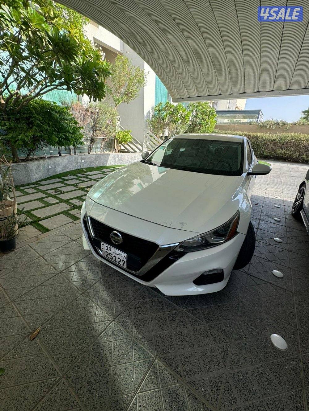 التيما 2020 ابيض بيج  صبغ وكاله3