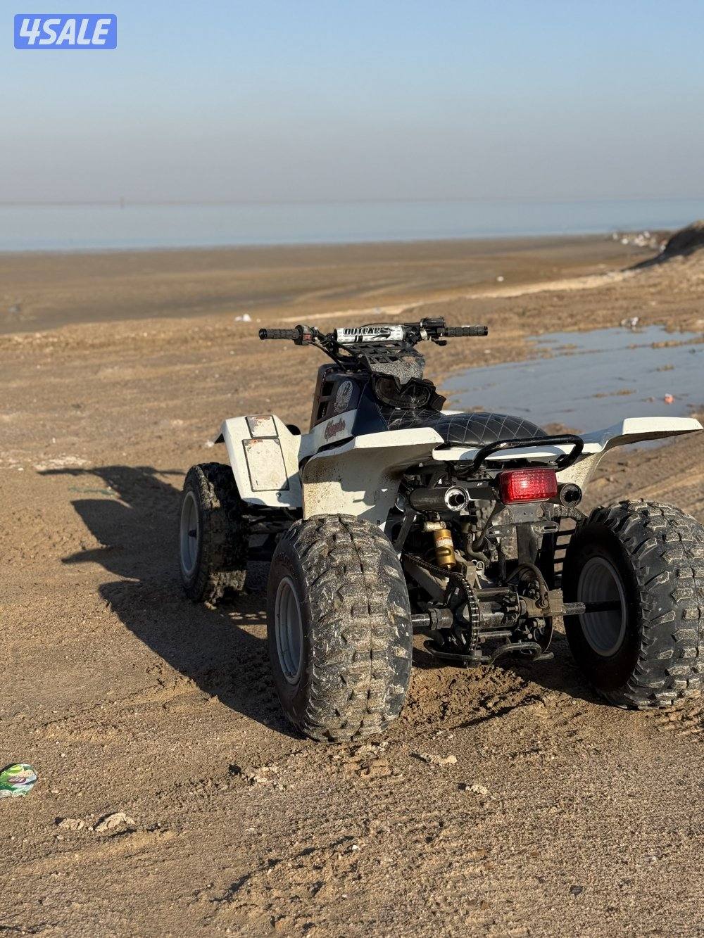 للبيع بانشي ٢٠٠٤1