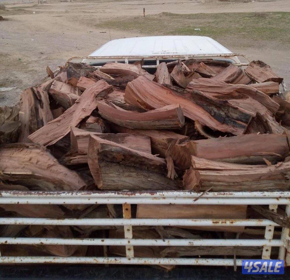 للبيع حطب صفصاف0