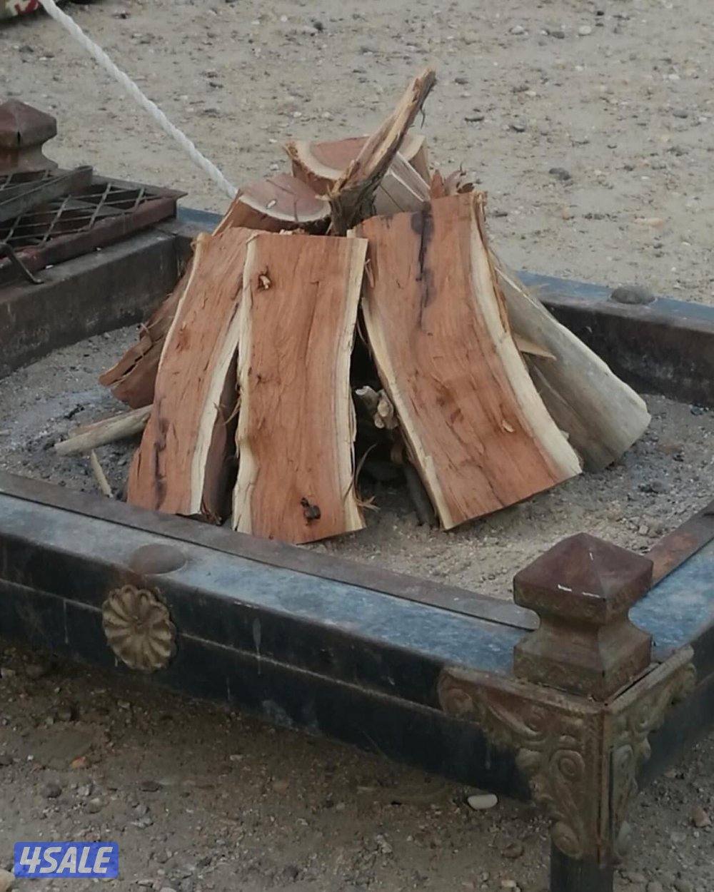 للبيع حطب صفصاف2