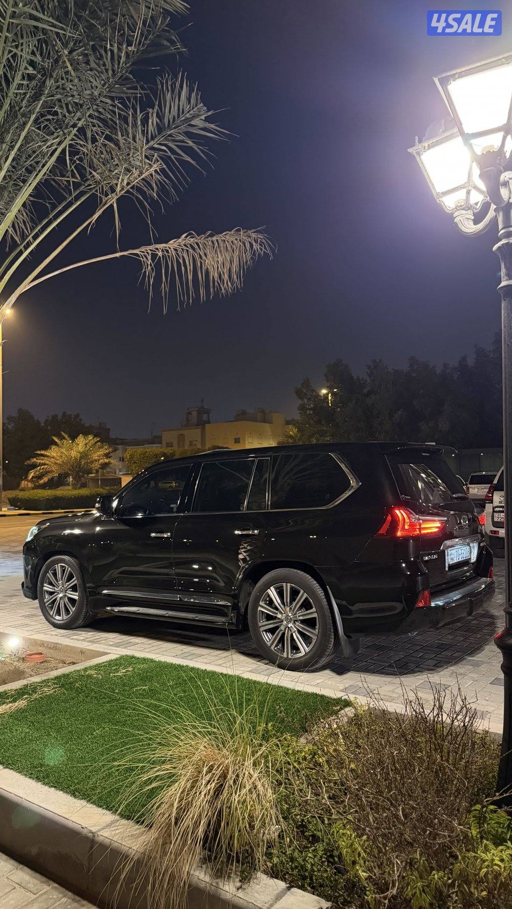 2016 صبغ الوكاله1