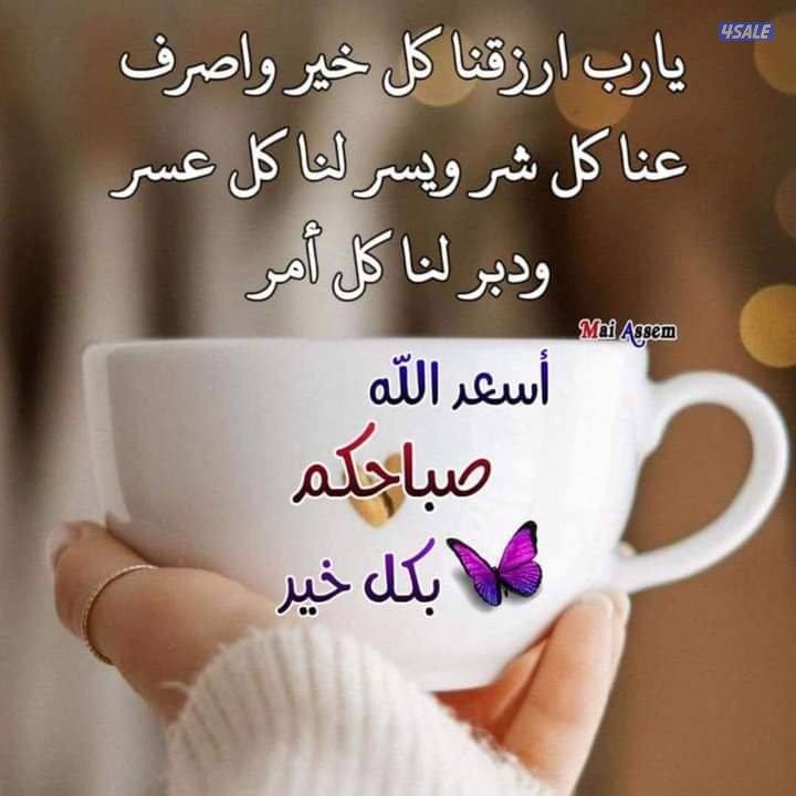 مدرس لغة عربية خبرة بالمرحلة المتوسطة وتأسيس0