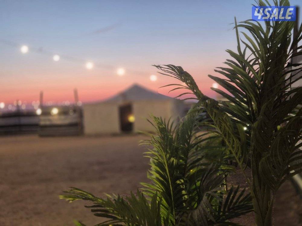 جسر جابر 🏕️9