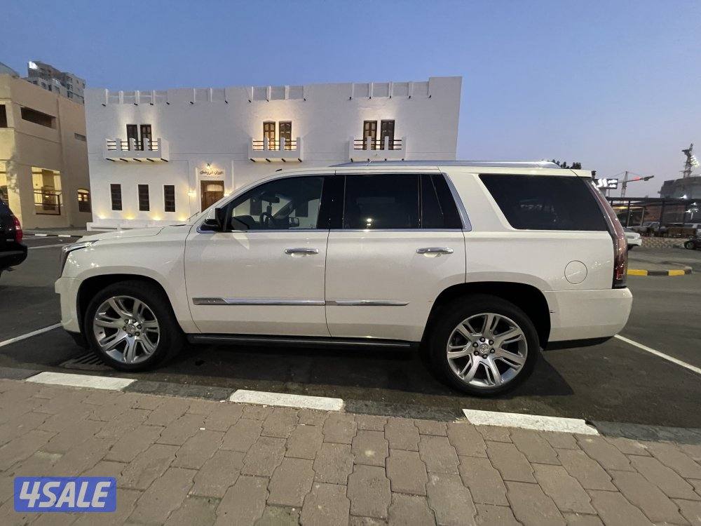 للبيع اسكاليد6