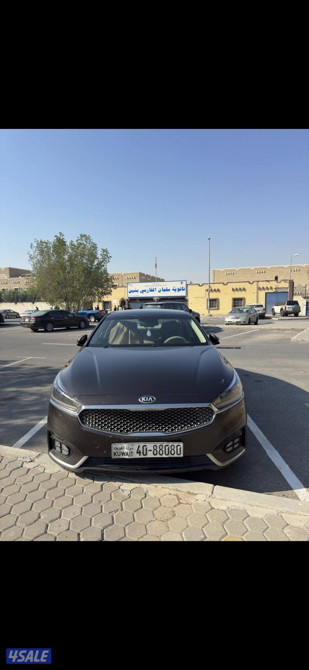 كادينزا 2017 شرط الفحص1