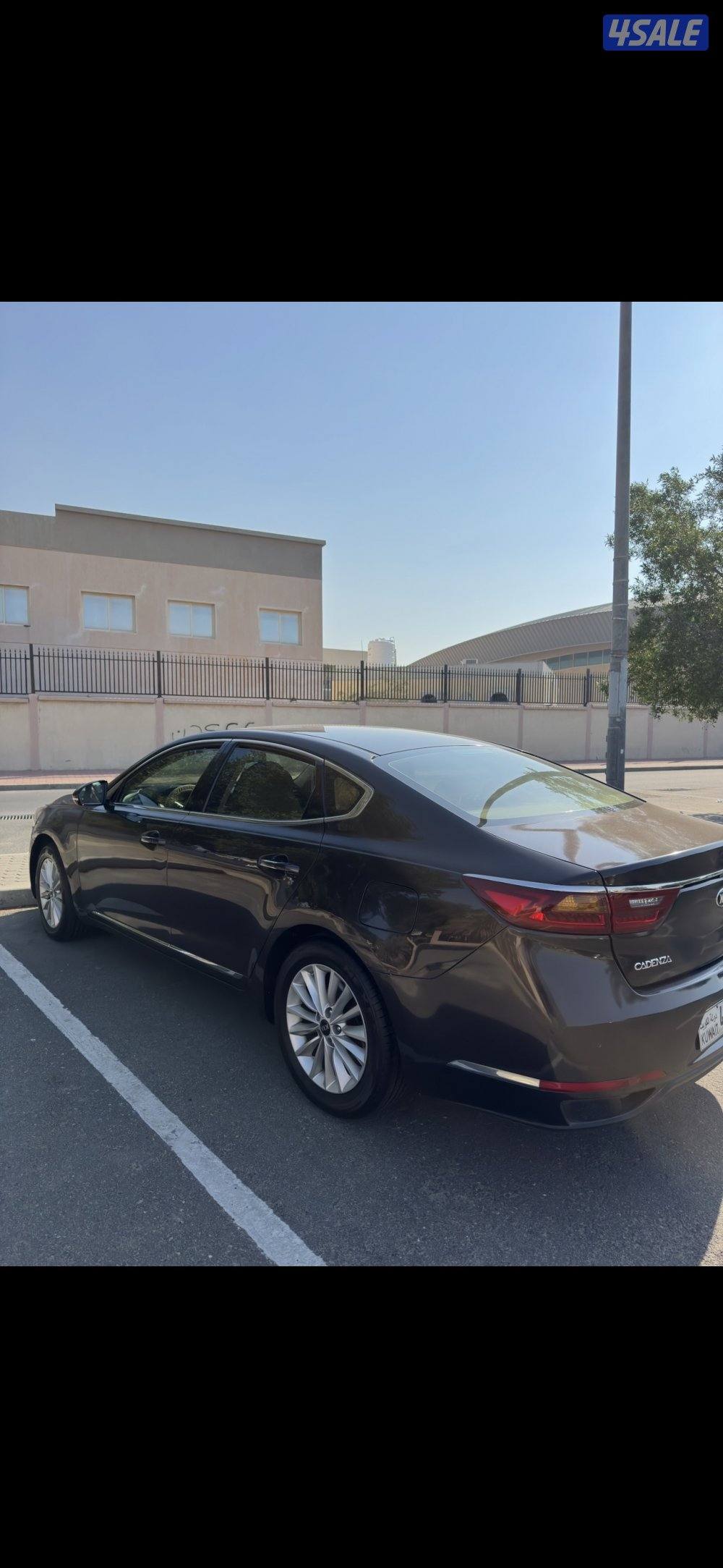 كادينزا 2017 شرط الفحص3