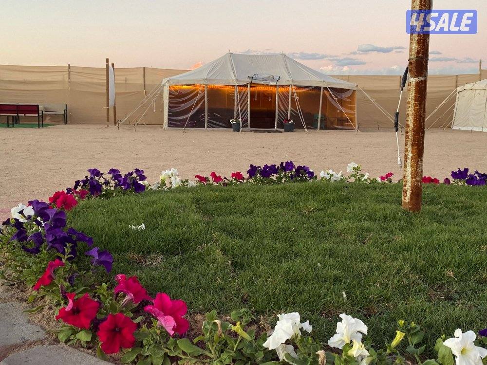 مخيم للايجار3