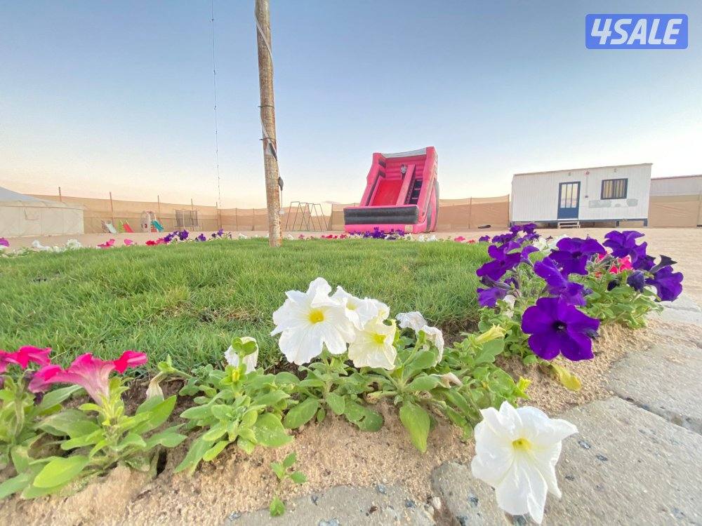 مخيم للايجار9