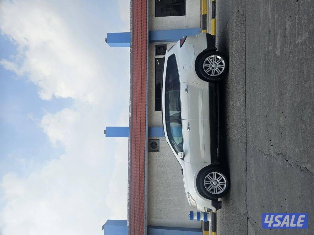 جیب شفر لون جمیل صدفی  بسعر ممتاز5