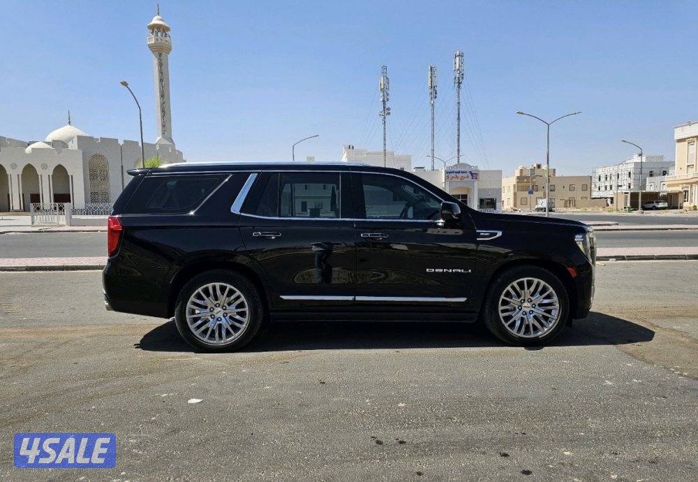 دينالي 2023 (( صبغ الوكاله ))6