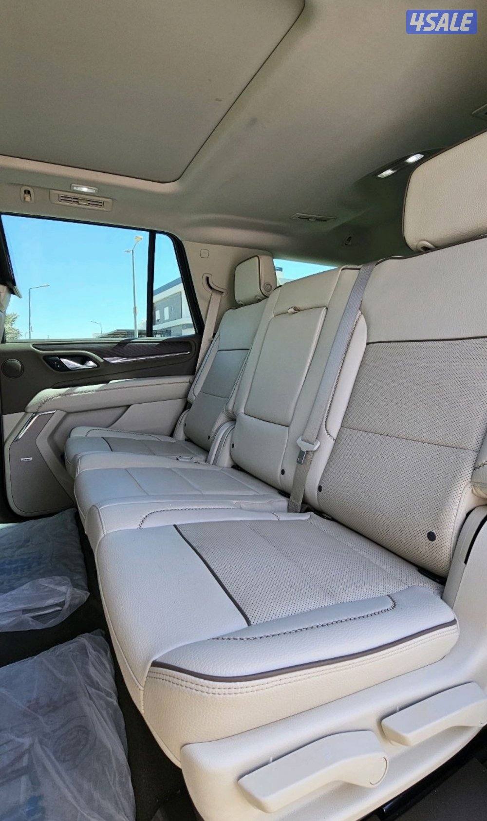 دينالي 2023 (( صبغ الوكاله ))12