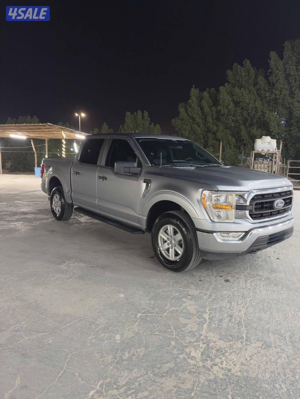 وانيت فورد1