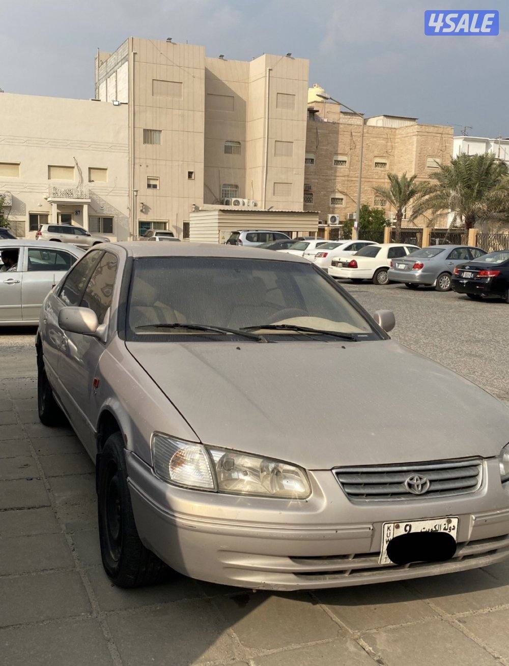 الاحمدي ، الظهر1