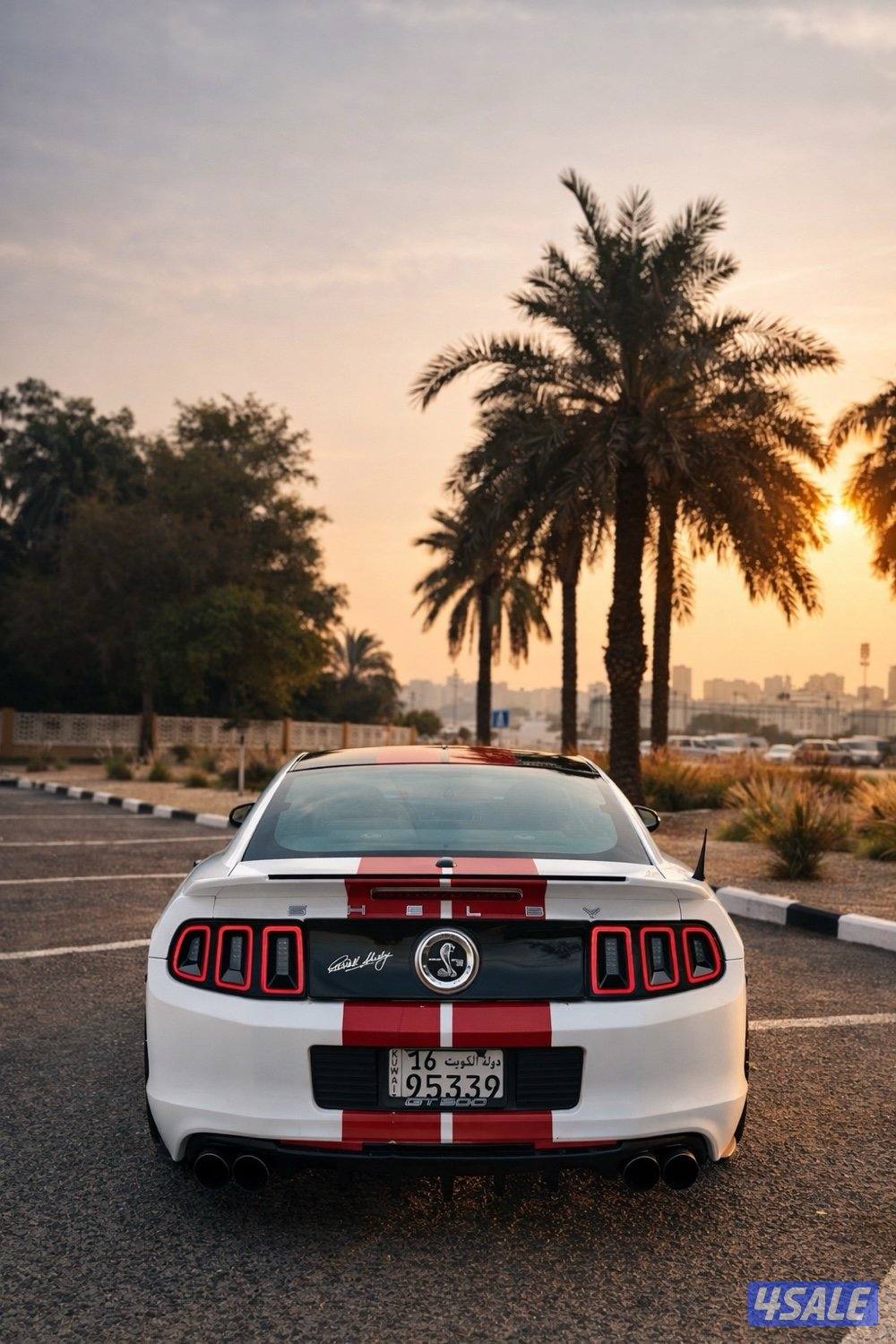 موستنق 2011/قير عادي2