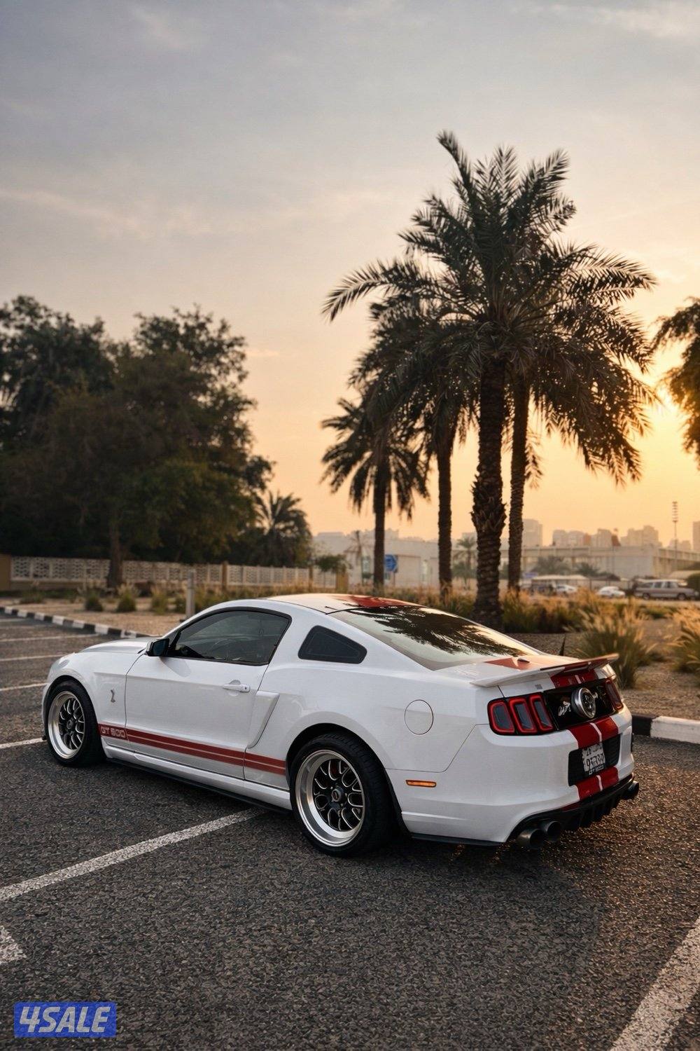 موستنق 2011/قير عادي3