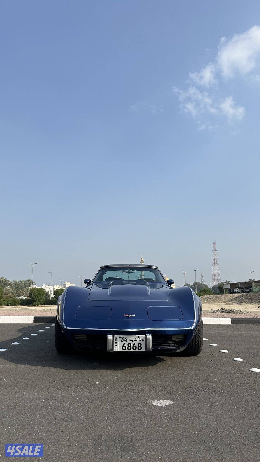 للبيع كورفت 19796