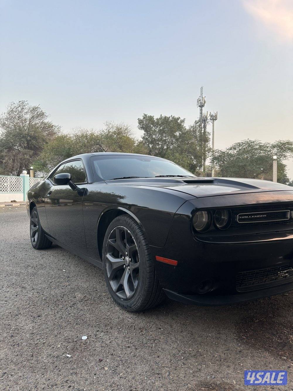 للبيع دودج تشالنجر ٢٠١٨1