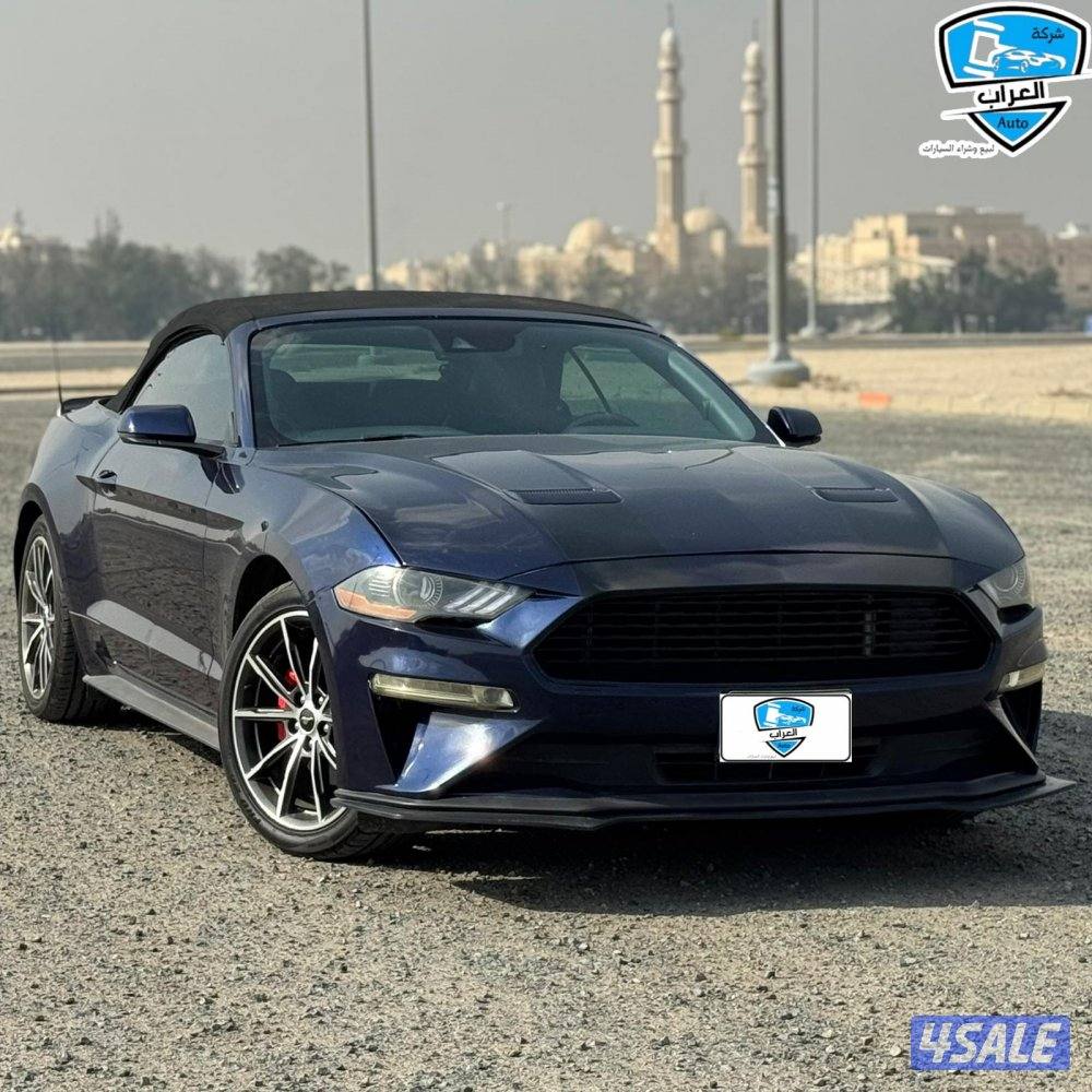 موستنج  كشف 20190