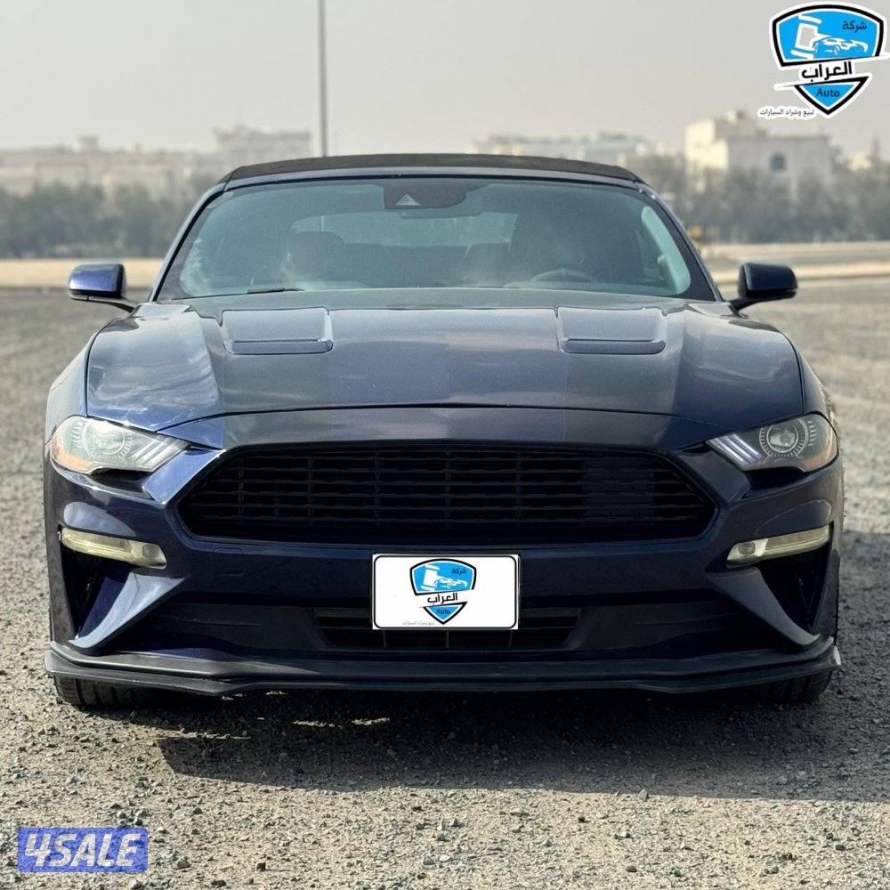 موستنج  كشف 20191