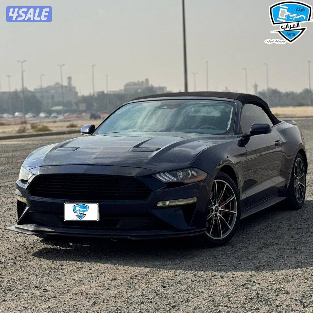 موستنج  كشف 20192