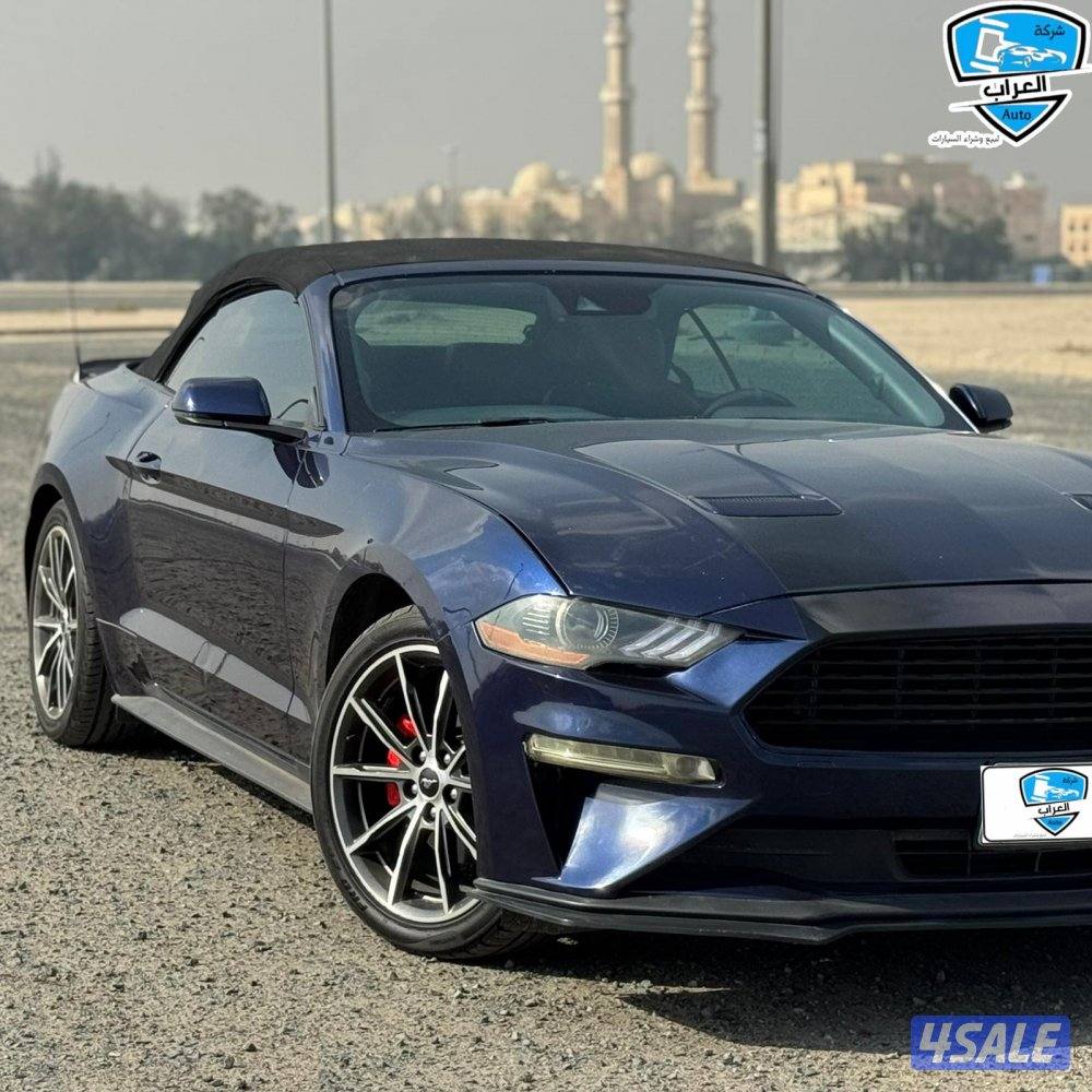 موستنج  كشف 20193