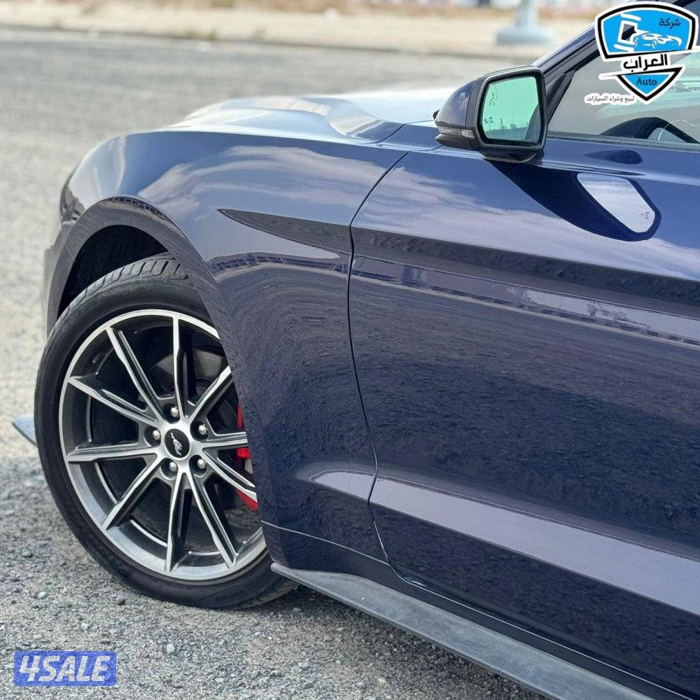 موستنج  كشف 20194