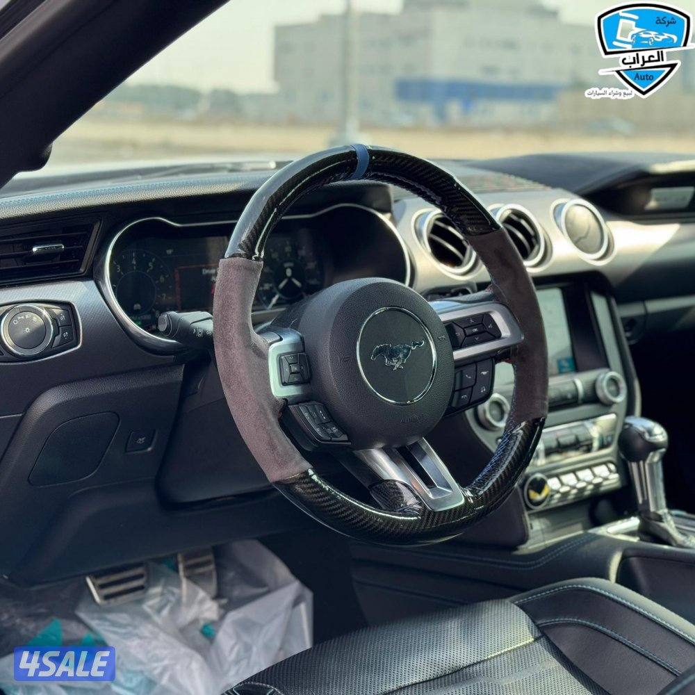 موستنج  كشف 20195