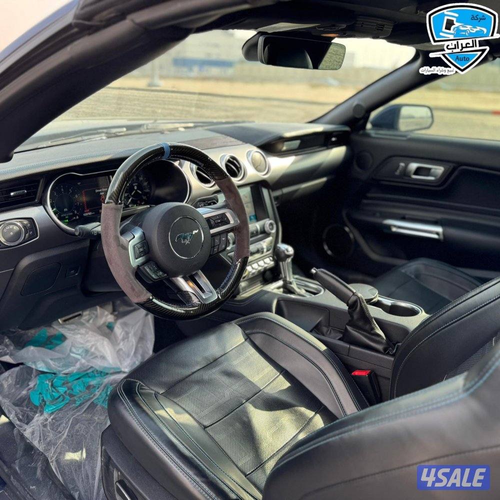 موستنج  كشف 20196