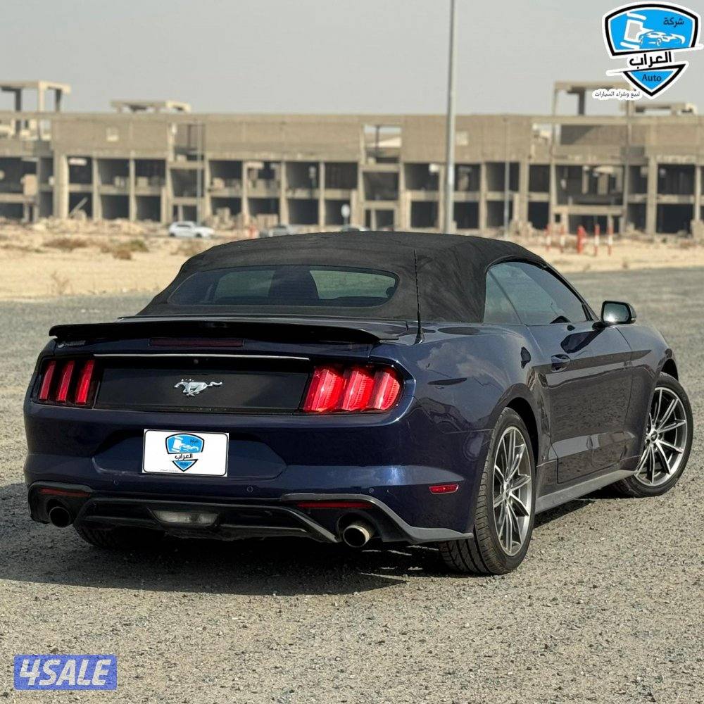 موستنج  كشف 20198