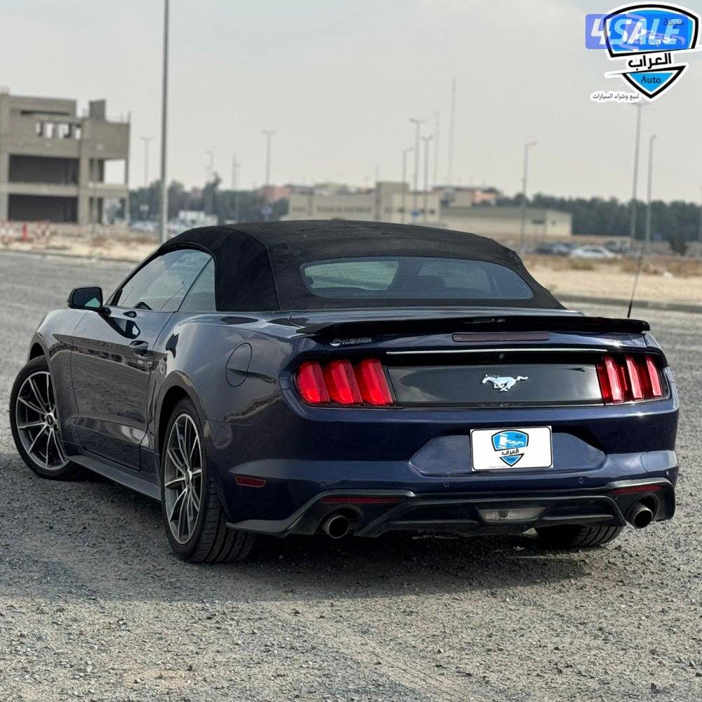 موستنج  كشف 201910