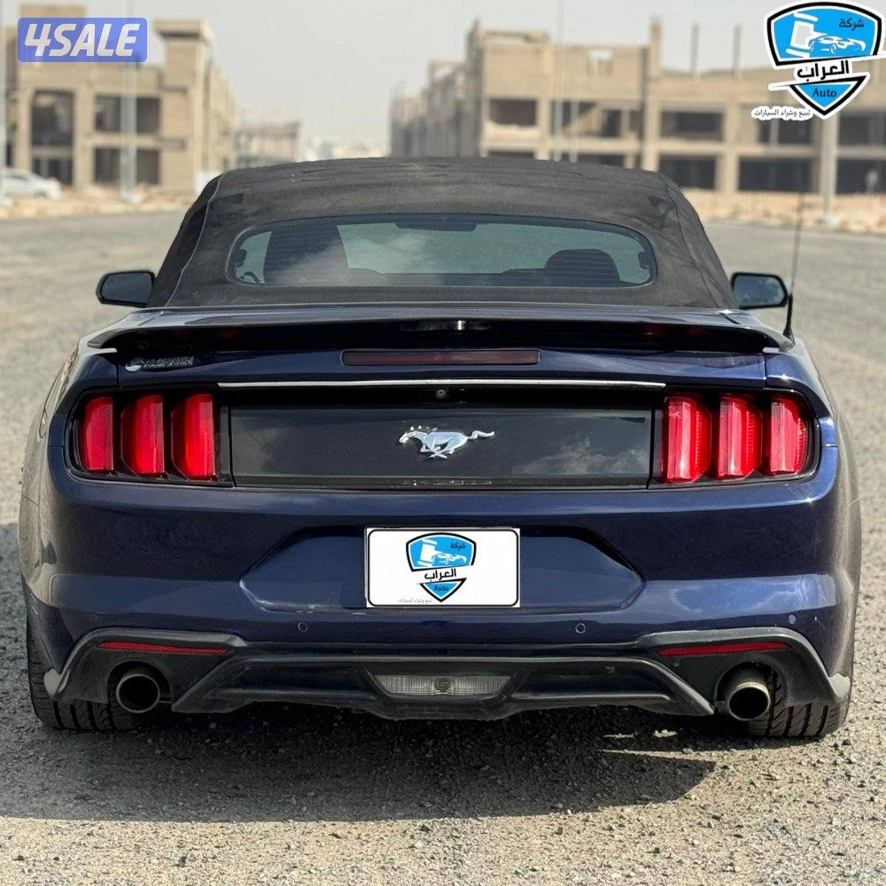 موستنج  كشف 20199