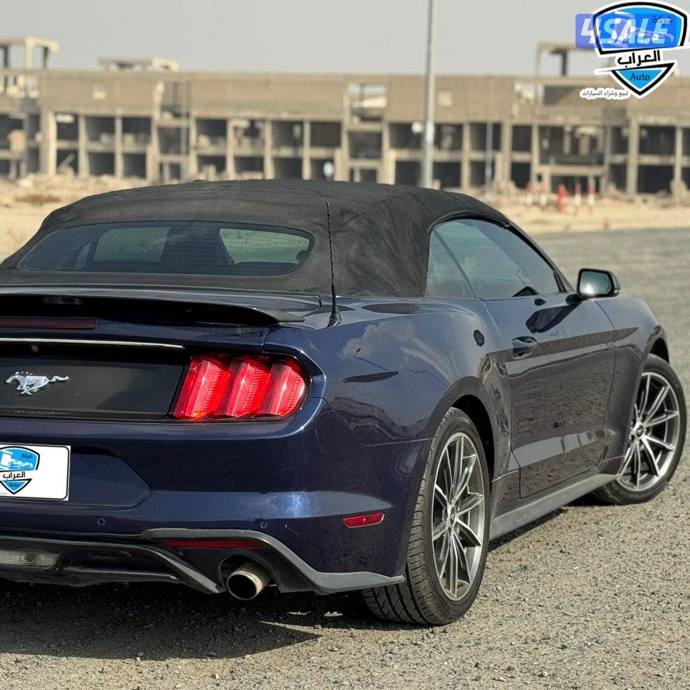 موستنج  كشف 201911