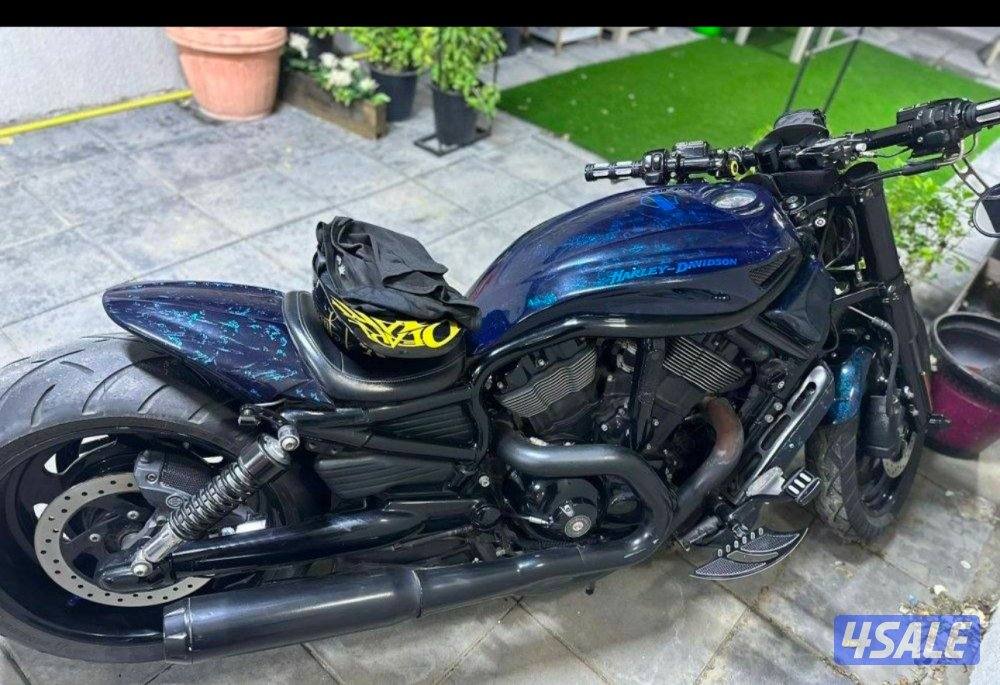 هارلي ڤيرود ٢٠١١ كوستم2