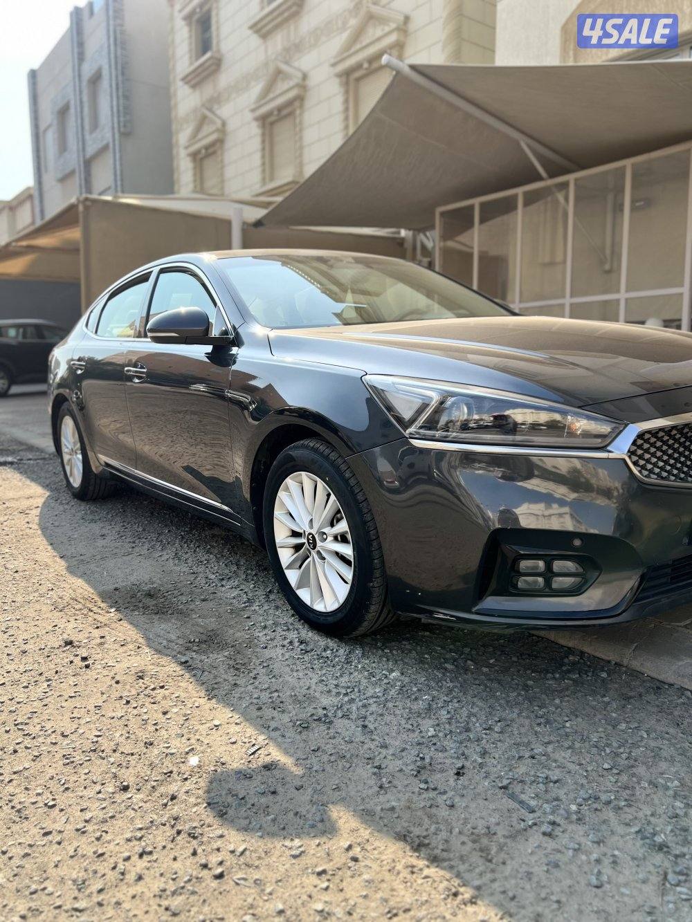 كادينزا مالك واحد ٢٠١٩0