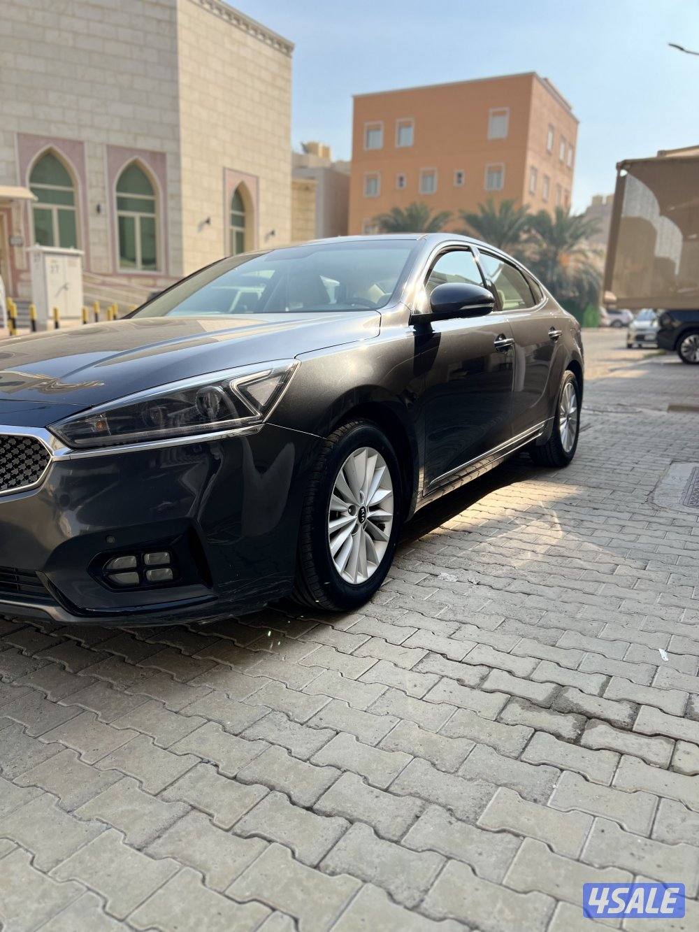 كادينزا مالك واحد ٢٠١٩1