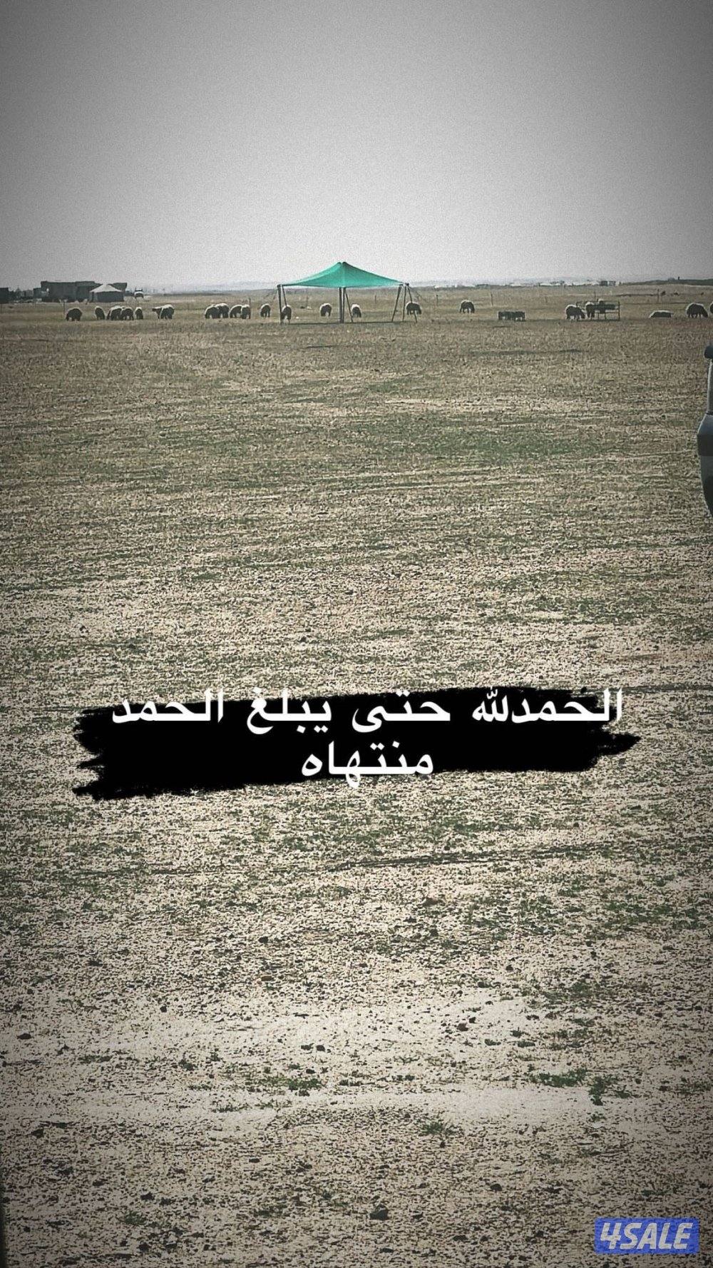 للبيع عزبه كامله مع محميه البيع من غير الشاليه مع اغراضها كامله0