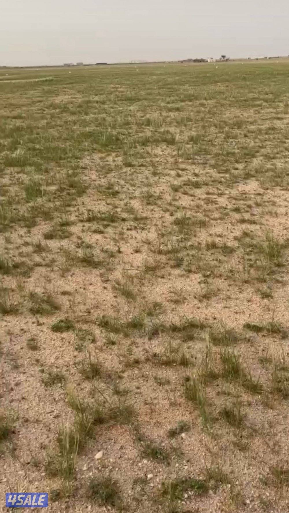 للبيع عزبه كامله مع محميه البيع من غير الشاليه مع اغراضها كامله1