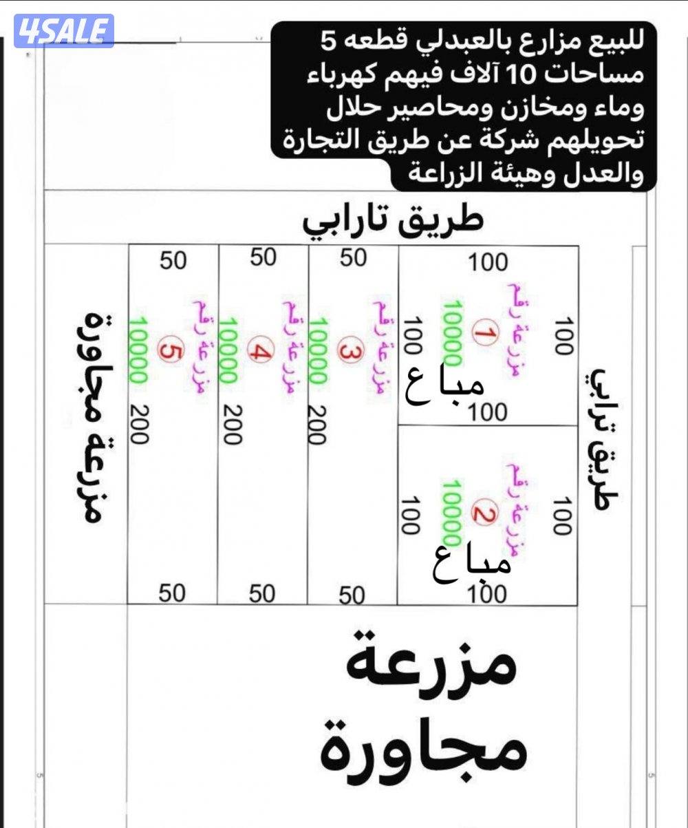 للبيع مزارع في العبدلي قطعة 5 مساحه 10 الف شركات0