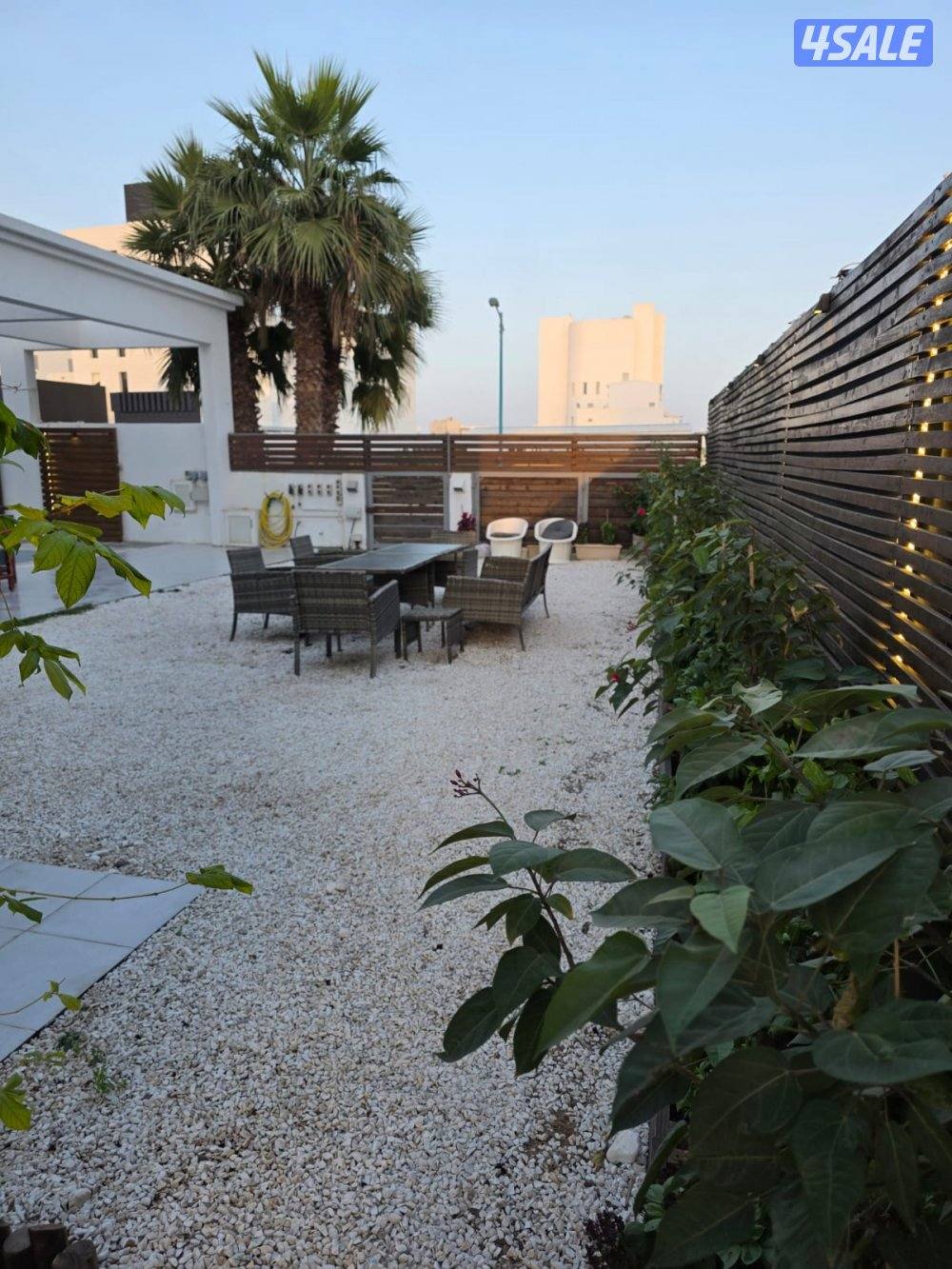 لا يوجد  سنوي2