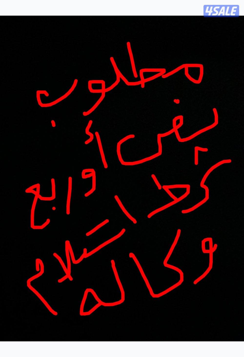 مطلوب نص او ربع شرط استلام وكاله0