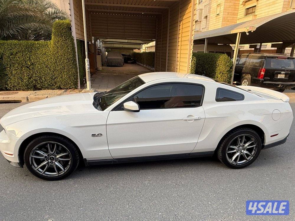 موستنق 5.0 قير عادي1